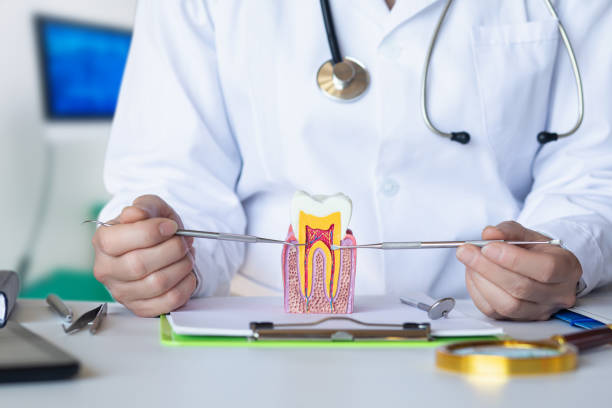 Best Emergency Tooth Extraction in Wheaton, IL
